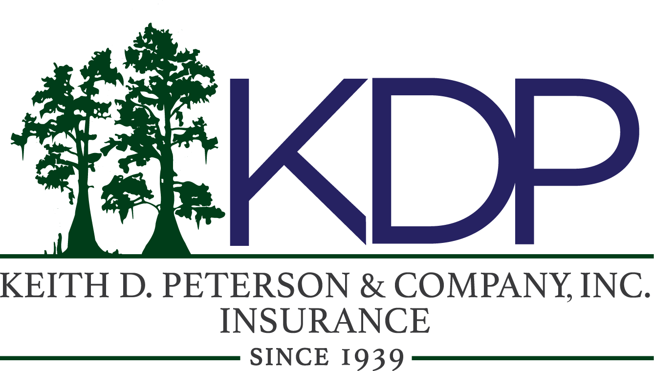 KDP Logo Header